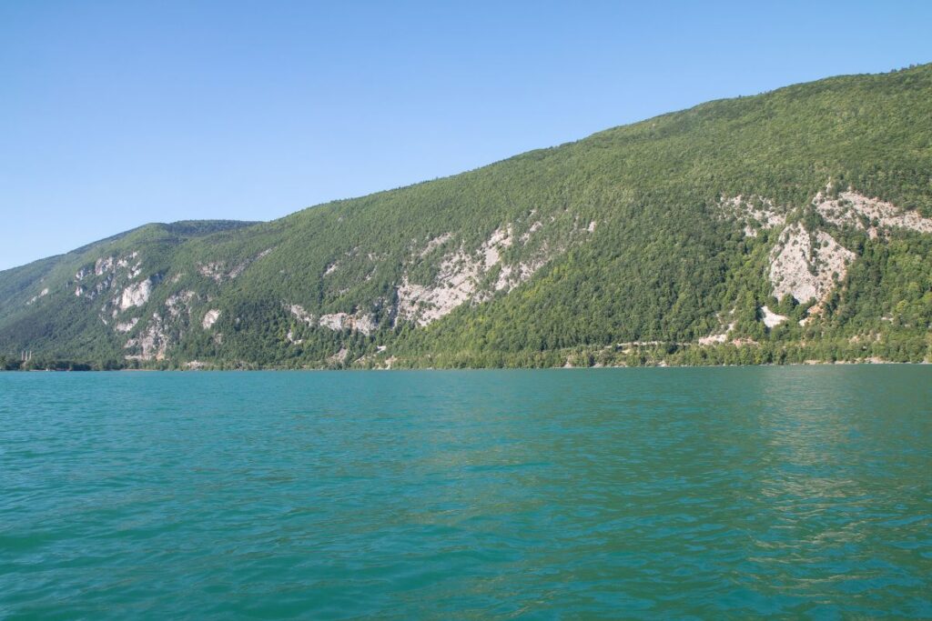 Rive boisée et roselière du lac d’Aiguebelette, zone humide protégée