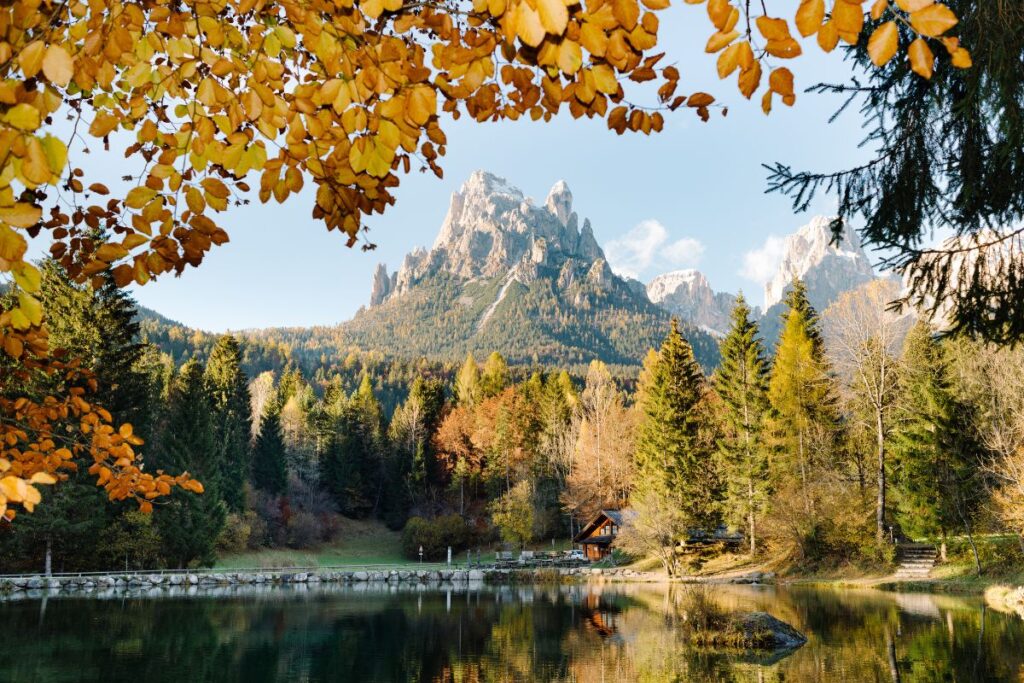 Sentier forestier menant au lac Welsperg au pied des Pale di San Martino