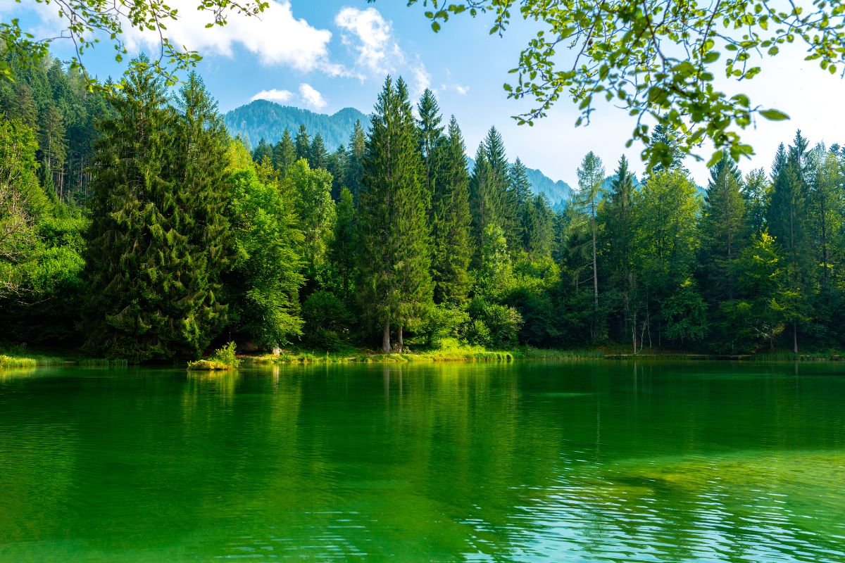 Lac Welsperg (Dolomites) : balade familiale en Val Canali, Trentin