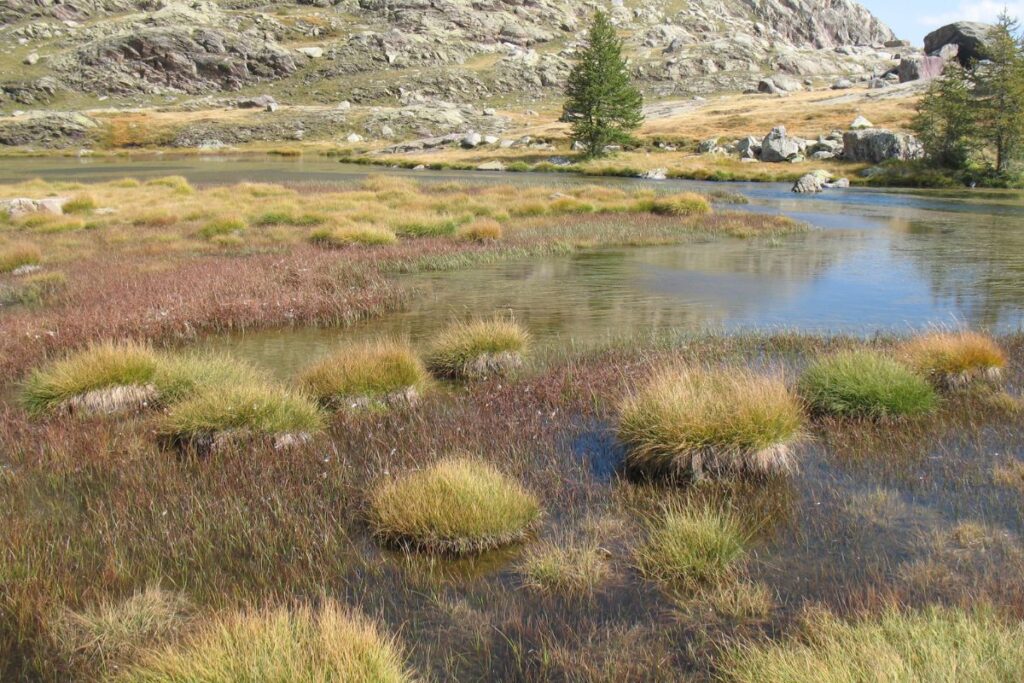 Torrent de la Gordolasque et sentier de montagne au départ du Pont du Countet, Mercantour