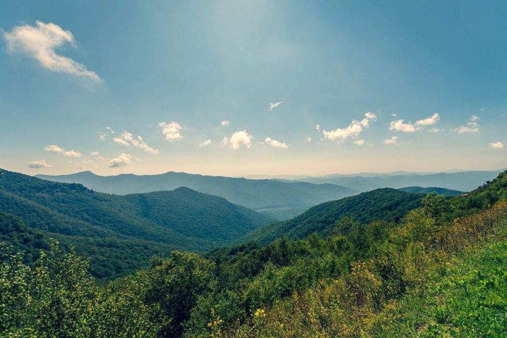 Sentier forestier balisé sur l’Appalachian Trail, dans les Appalaches