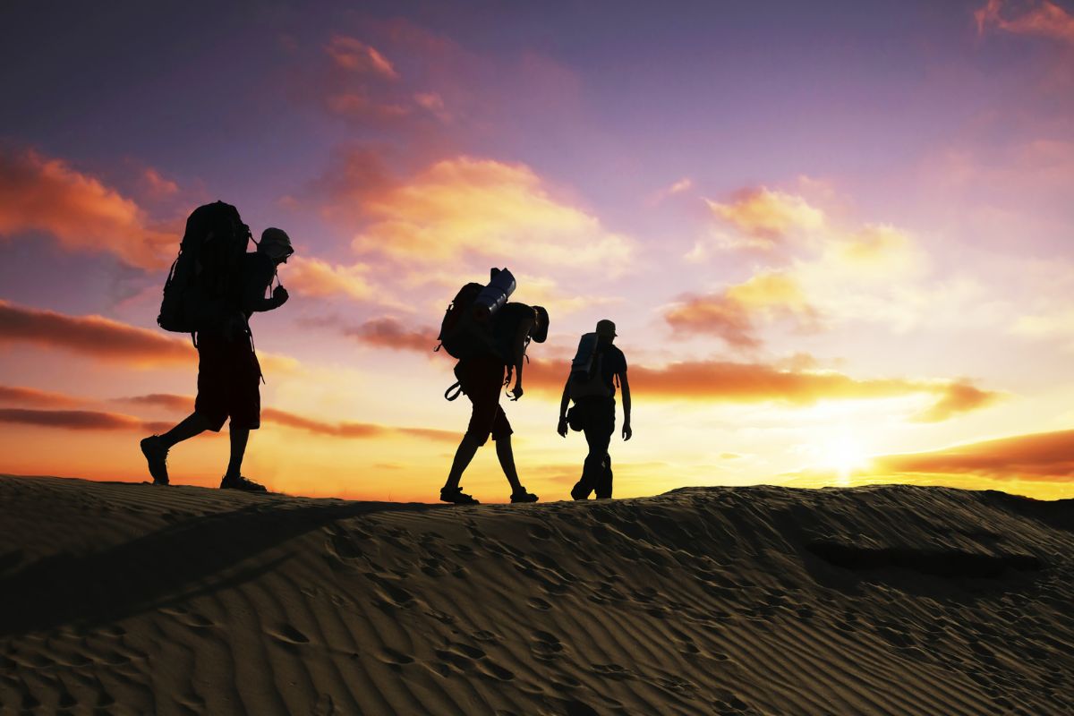 Randonner sans GPS, carte ni boussole : s’orienter aux indices naturels