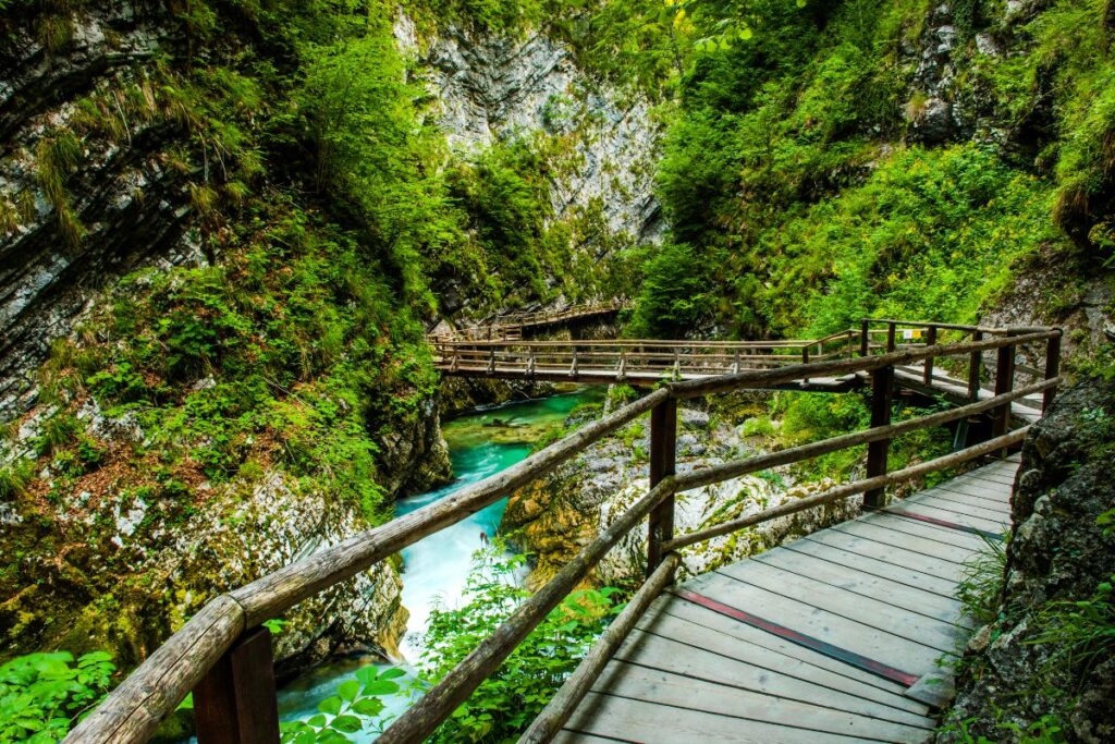 Passerelles en bois au-dessus de la rivière Radovna dans les gorges de Vintgar, près de Bled