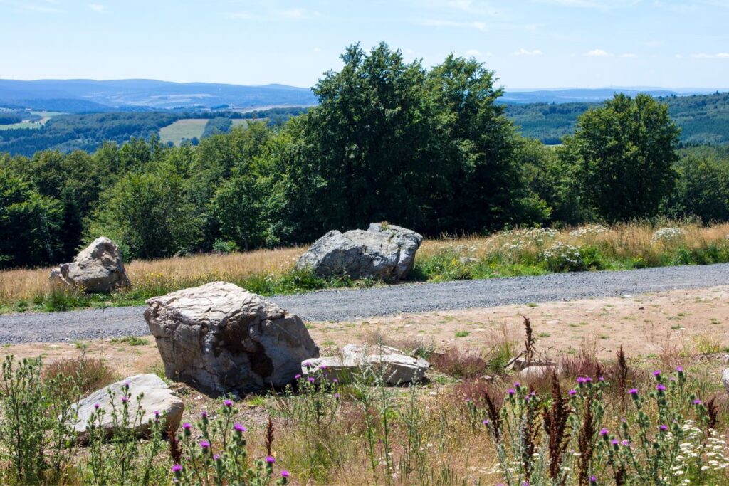Randonneurs sur un sentier du plateau ardéchois face au mont Gerbier de Jonc
