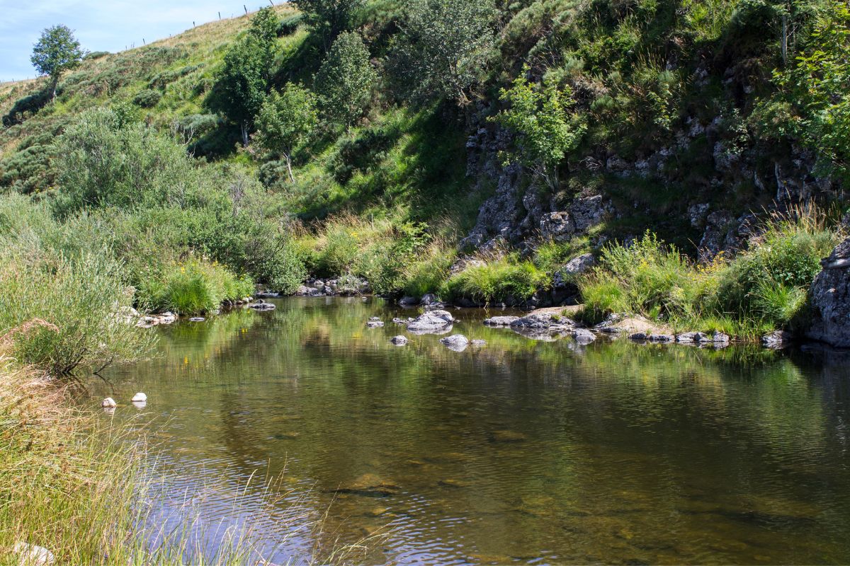 Sources de la Loire à pied : randonnée au mont Gerbier de Jonc en Ardèche