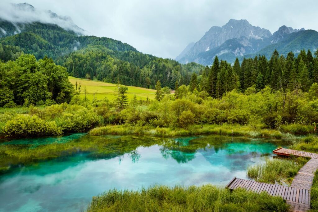 Lac alpin de la vallée des lacs du Triglav entouré de pierriers et de pins, parc national du Triglav, Slovénie