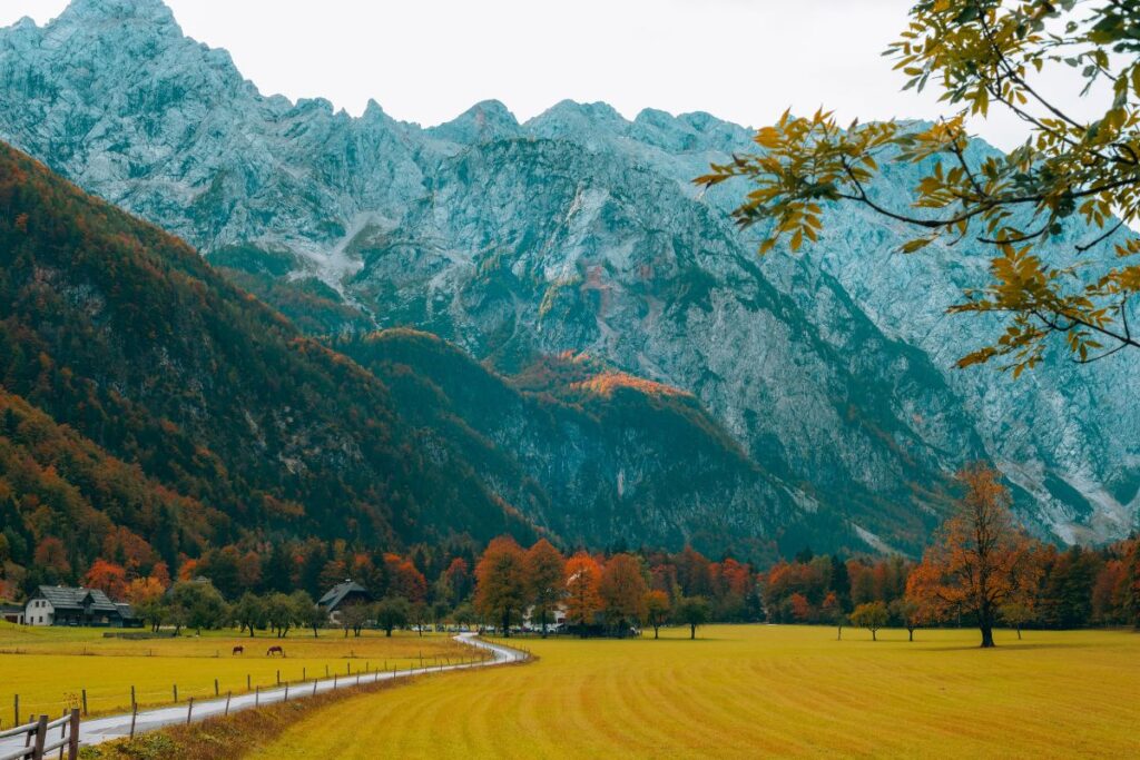 Prairies et fermes de la vallée de Logar au pied des Alpes de Kamnik et de Savinja