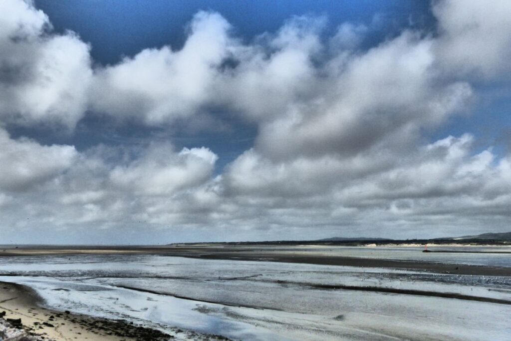 Estran de la baie de Somme à marée basse, avec des chenaux et des prés salés