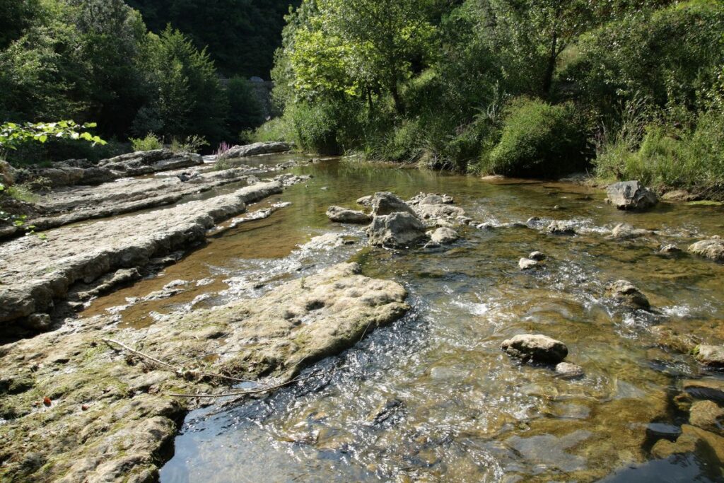 Falaises calcaires et rivière du Tarn au fond des gorges du Tarn, en Lozère