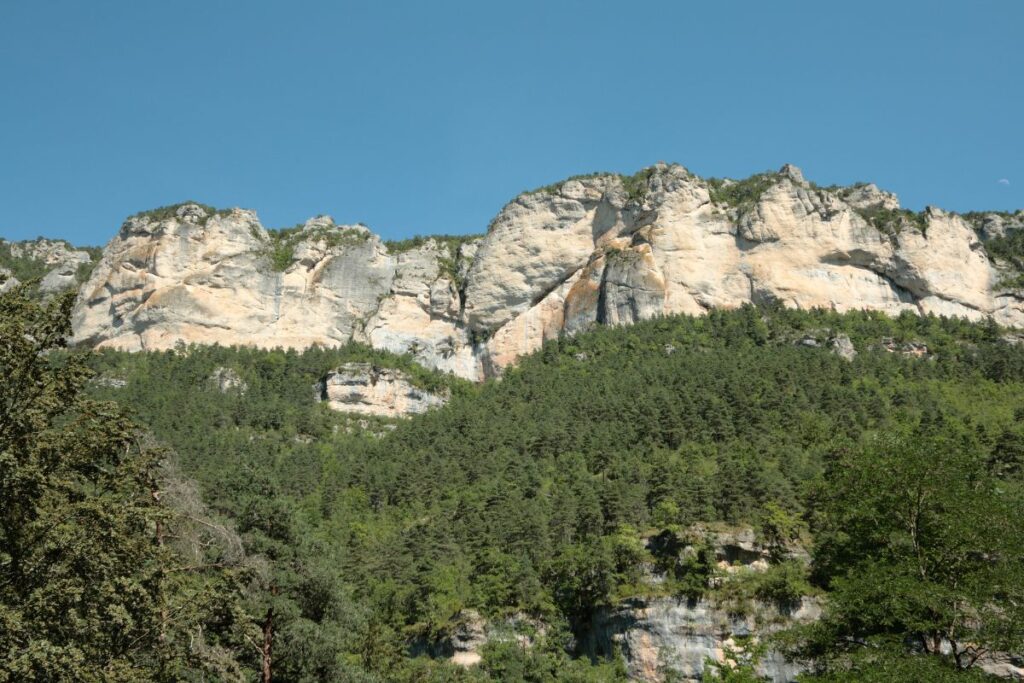Vue plongeante sur les gorges du Tarn et la rivière depuis le rebord du causse