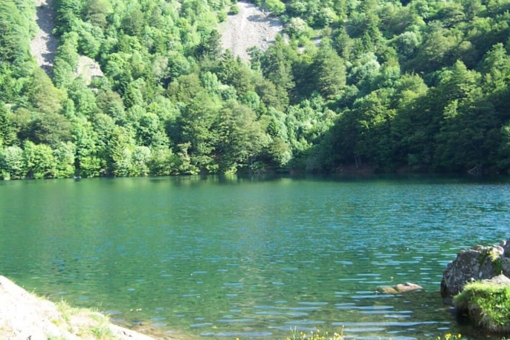 Lac des Perches entouré de forêts de conifères dans les Vosges du Sud