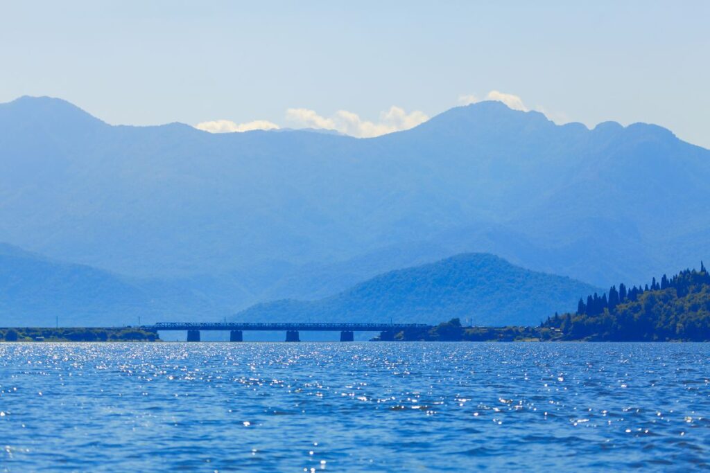 Rives marécageuses du lac de Skadar près de Vranjina, zone d’observation des oiseaux