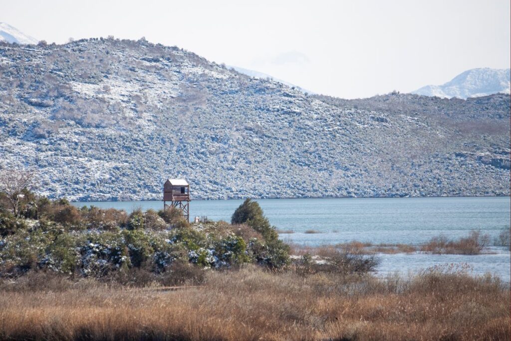 Brume matinale sur le lac de Skadar au printemps
