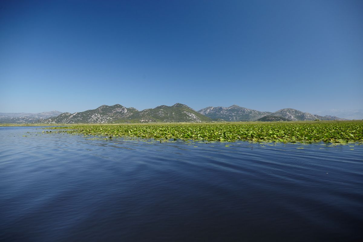 Randonnée au lac de Skadar (Shkodra) : sentiers, saisons et conseils
