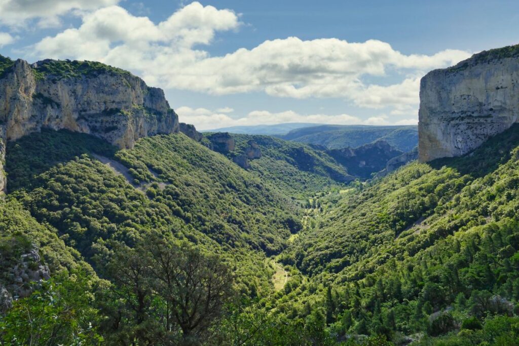 Falaises calcaires du cirque de l’Infernet vues depuis le sentier des Fenestrettes, dans l’Hérault
