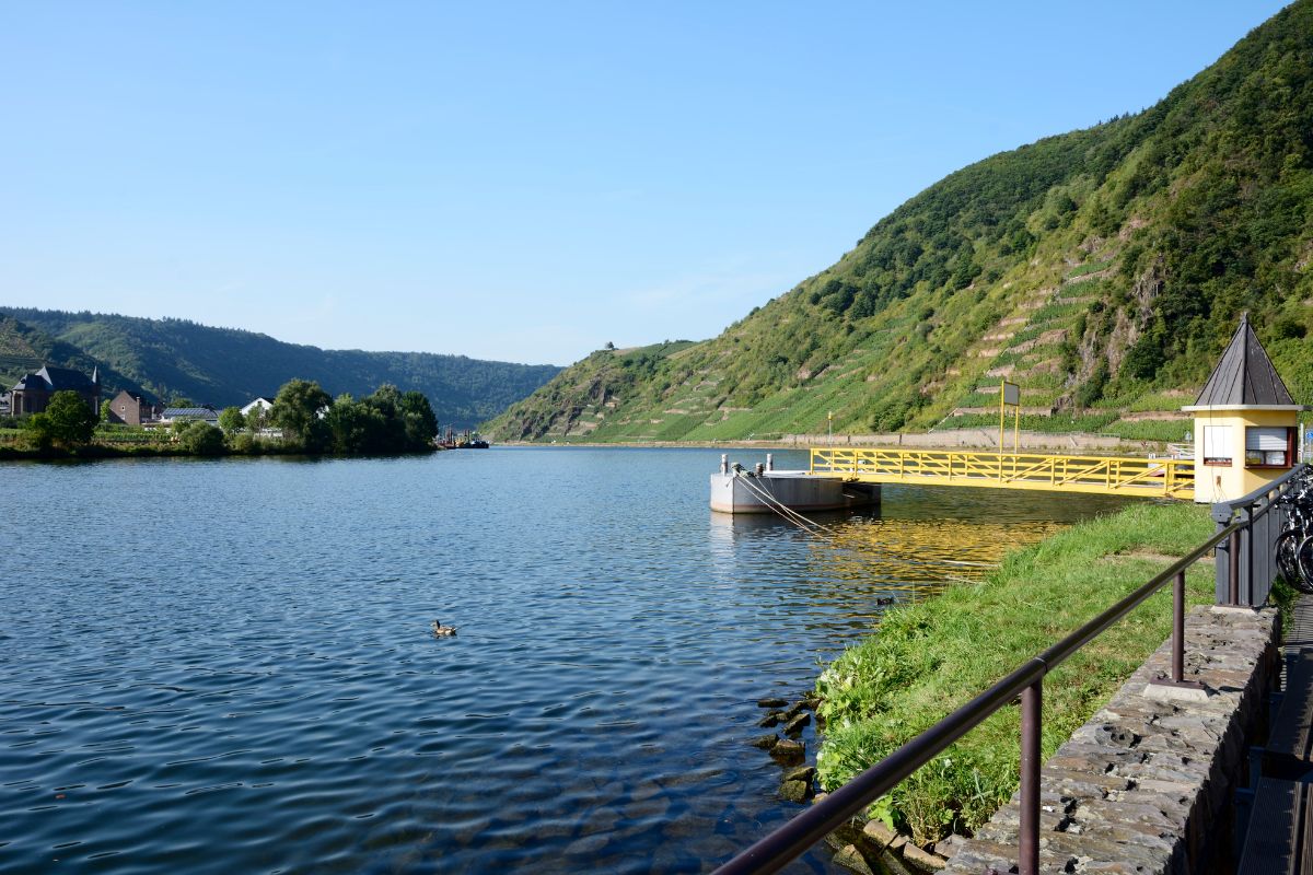 GR Erckmann-Chatrian en Moselle : 85 km de Sarrebourg à Phalsbourg
