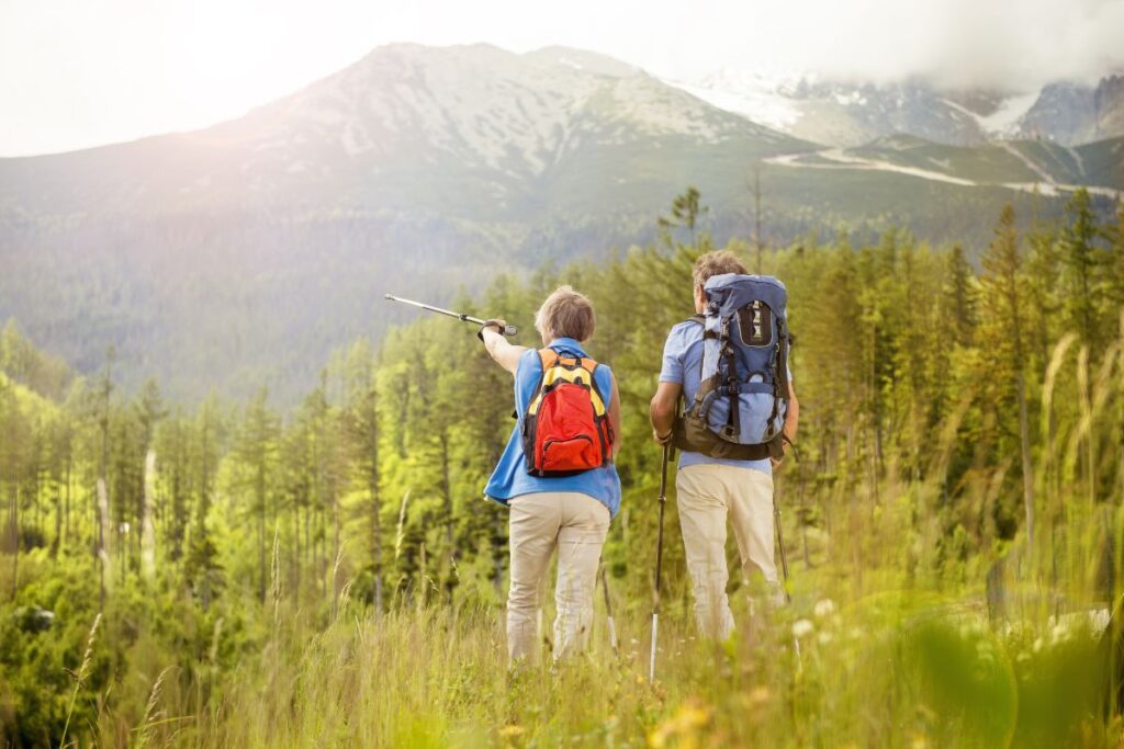 Randonneur consultant son smartphone au milieu d’un paysage de montagne