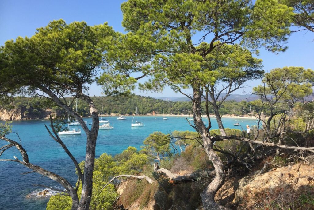 Sentier de randonnée dans le maquis de Port-Cros avec vue sur la mer