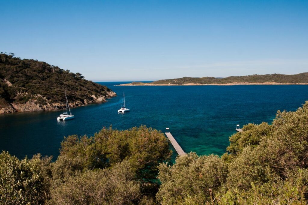 Végétation méditerranéenne et pins le long du sentier des plantes à Port-Cros