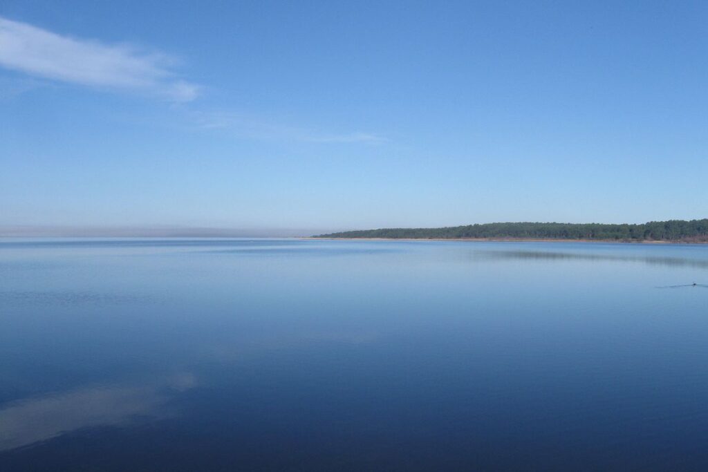 Sentier sablonneux sous les pins maritimes au bord du lac de Sanguinet