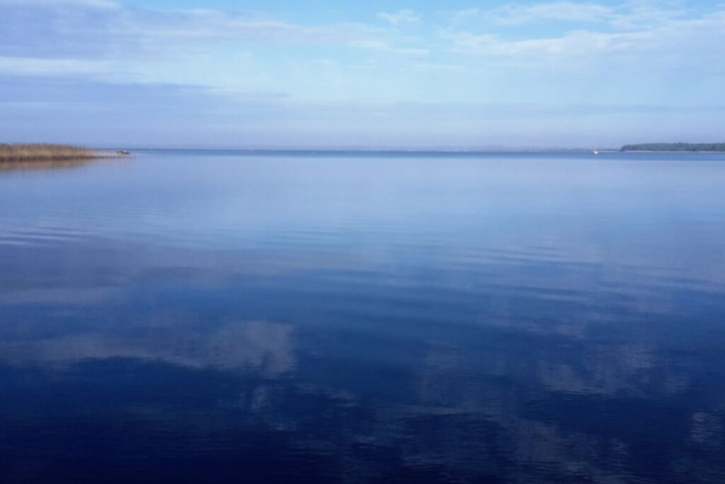 Pinède landaise et maisons traditionnelles près du lac de Cazaux-Sanguinet