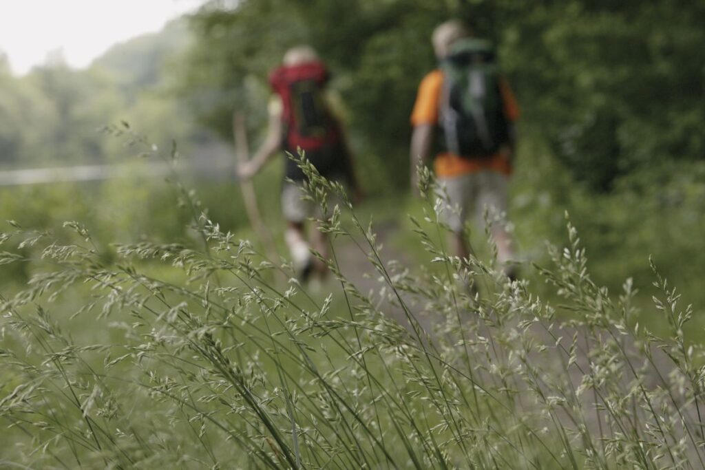 Randonneurs partant à l’aube sur un sentier de montagne pour éviter la chaleur