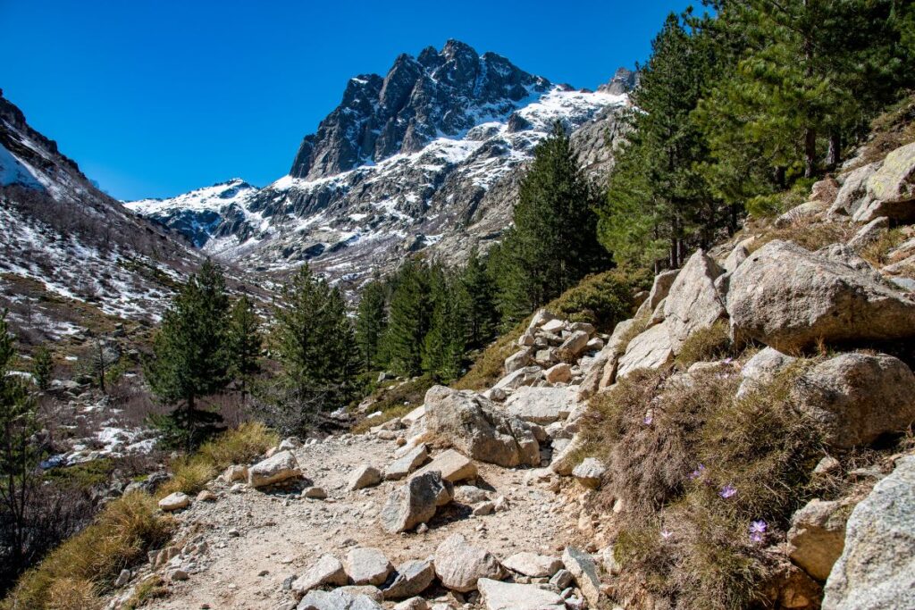 Sentier de randonnée dans le maquis de Corse du Sud avec vue sur la mer
