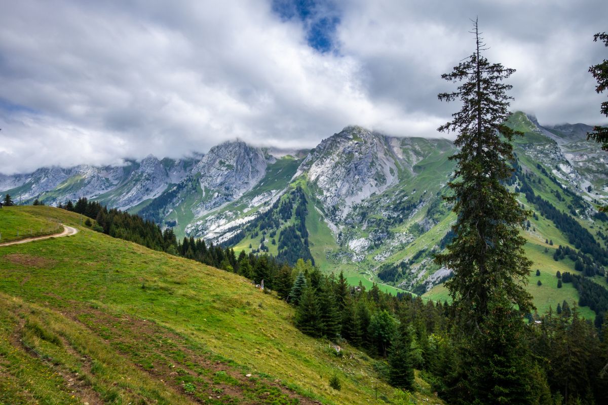 Sentier du Pas du Roc (Haute-Savoie) : cascade et passage taillé dans la falaise