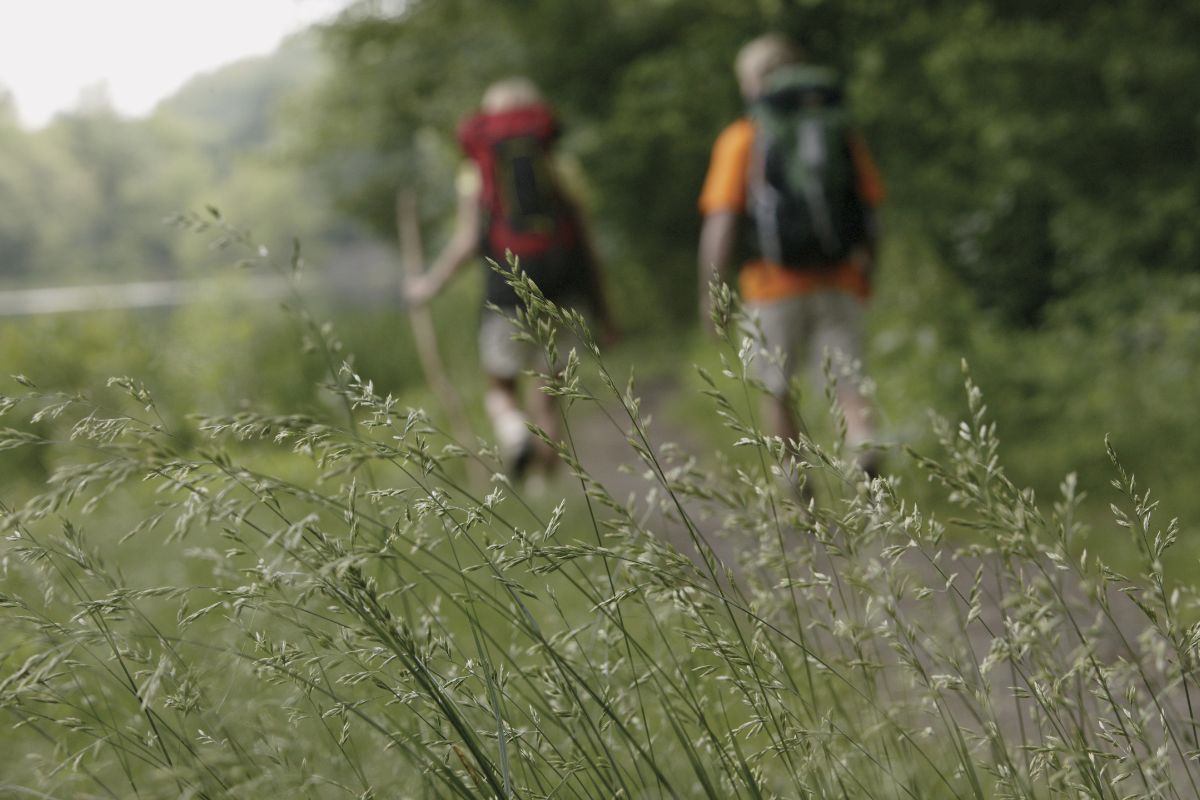 Marcher le matin à jeun brûle-t-il plus de graisse ? Ce que dit la science