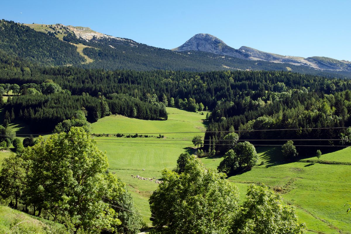 Baronnies provençales : randonnées, ciel étoilé et Provence loin des foules