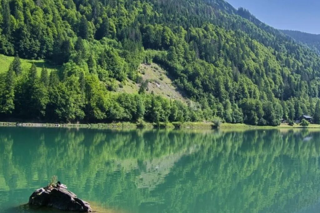 Sentier forestier menant à la cascade d’Ardent au-dessus du lac de Montriond, en Haute-Savoie