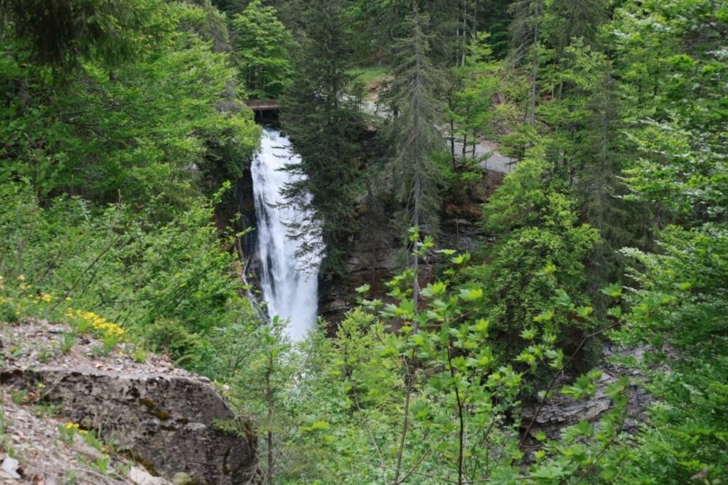 Chute d’eau de la cascade d’Ardent tombant entre les rochers et la forêt dans la vallée d’Aulps