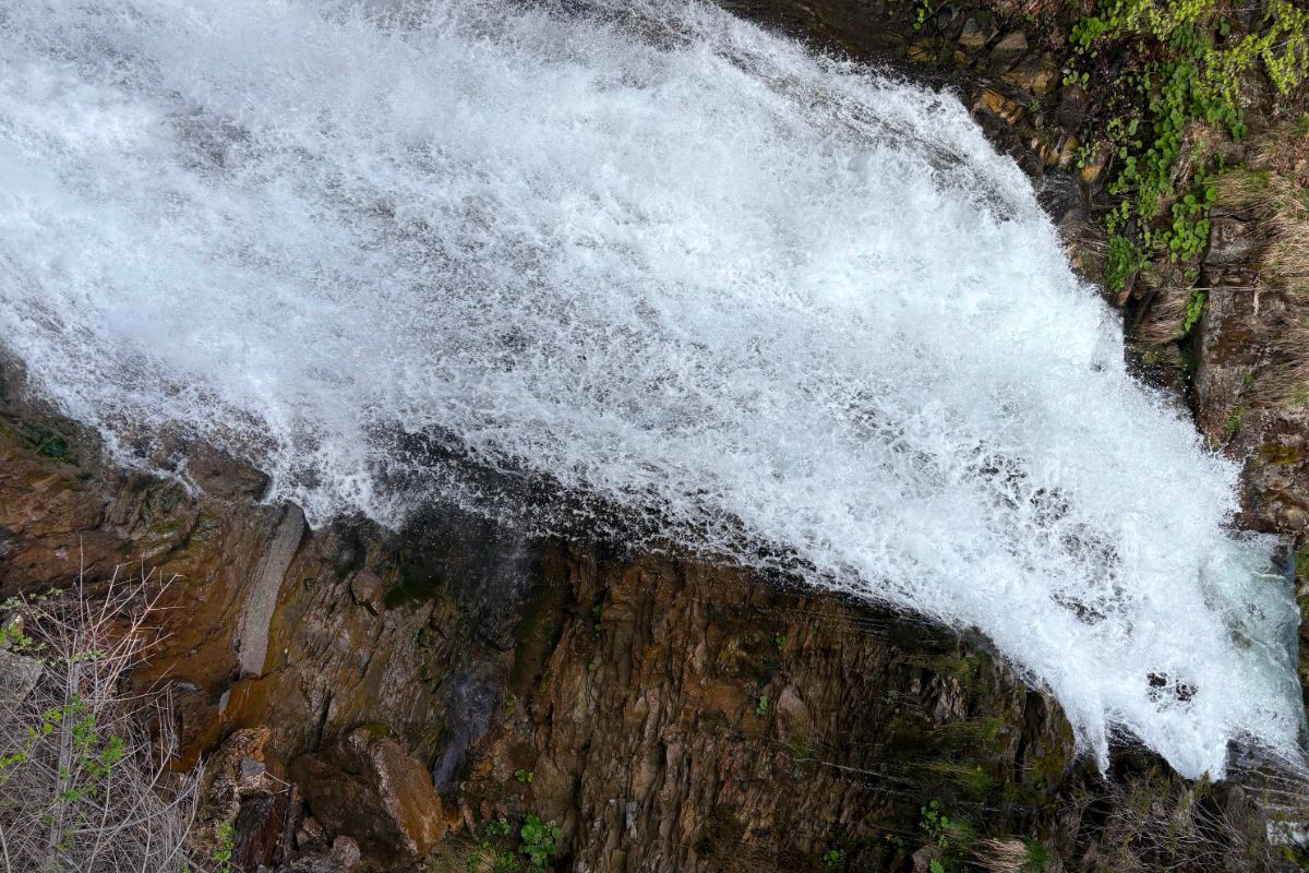 Cascade d’Ardent (Haute-Savoie) : randonnée facile depuis le lac de Montriond