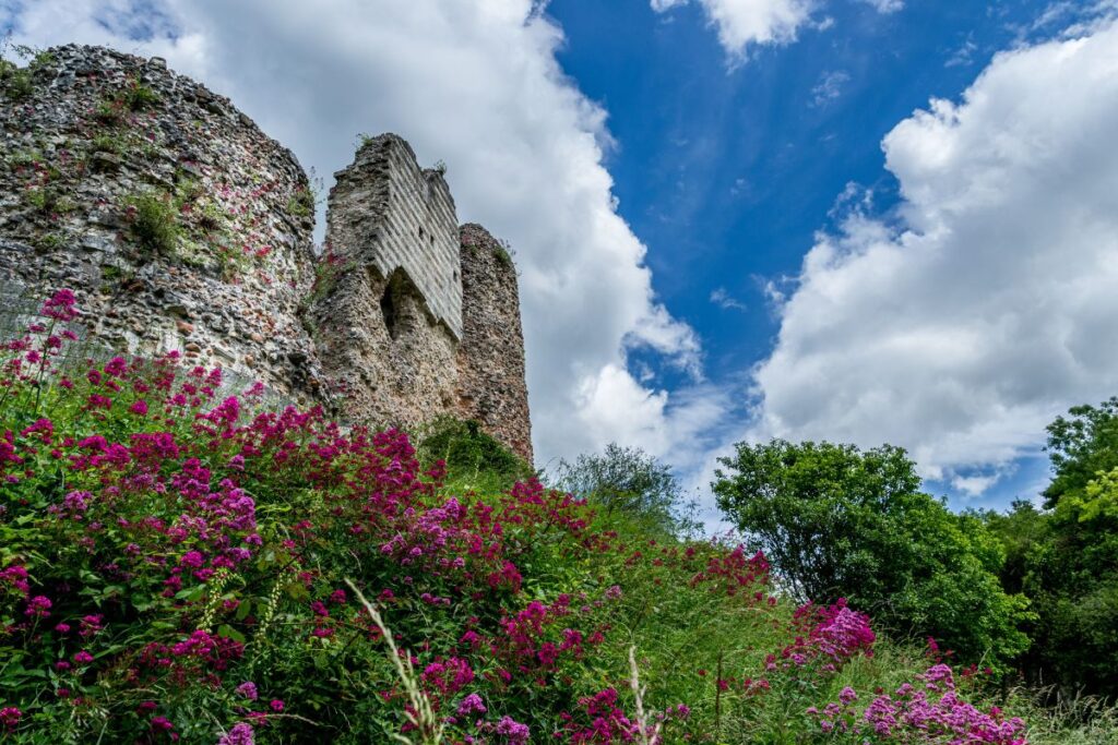 Sentier des coteaux calcaires menant au Château-Gaillard, avec vue sur la vallée de la Seine