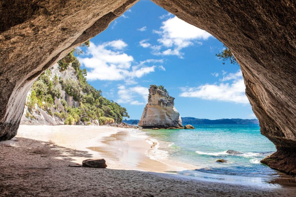 Eaux claires d’une calanque laissant voir les fonds rocheux et les herbiers de posidonie