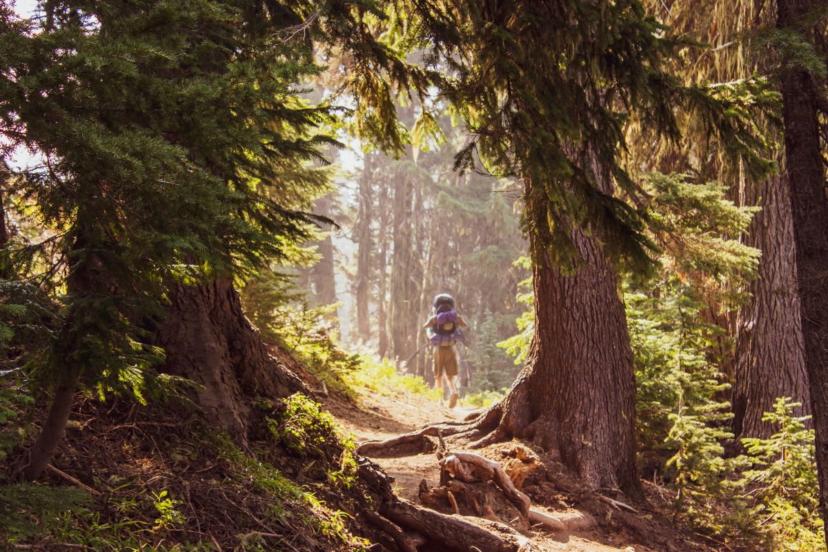 Randonnée après 60 ans : quelle fréquence cardiaque ne pas dépasser en montagne ?