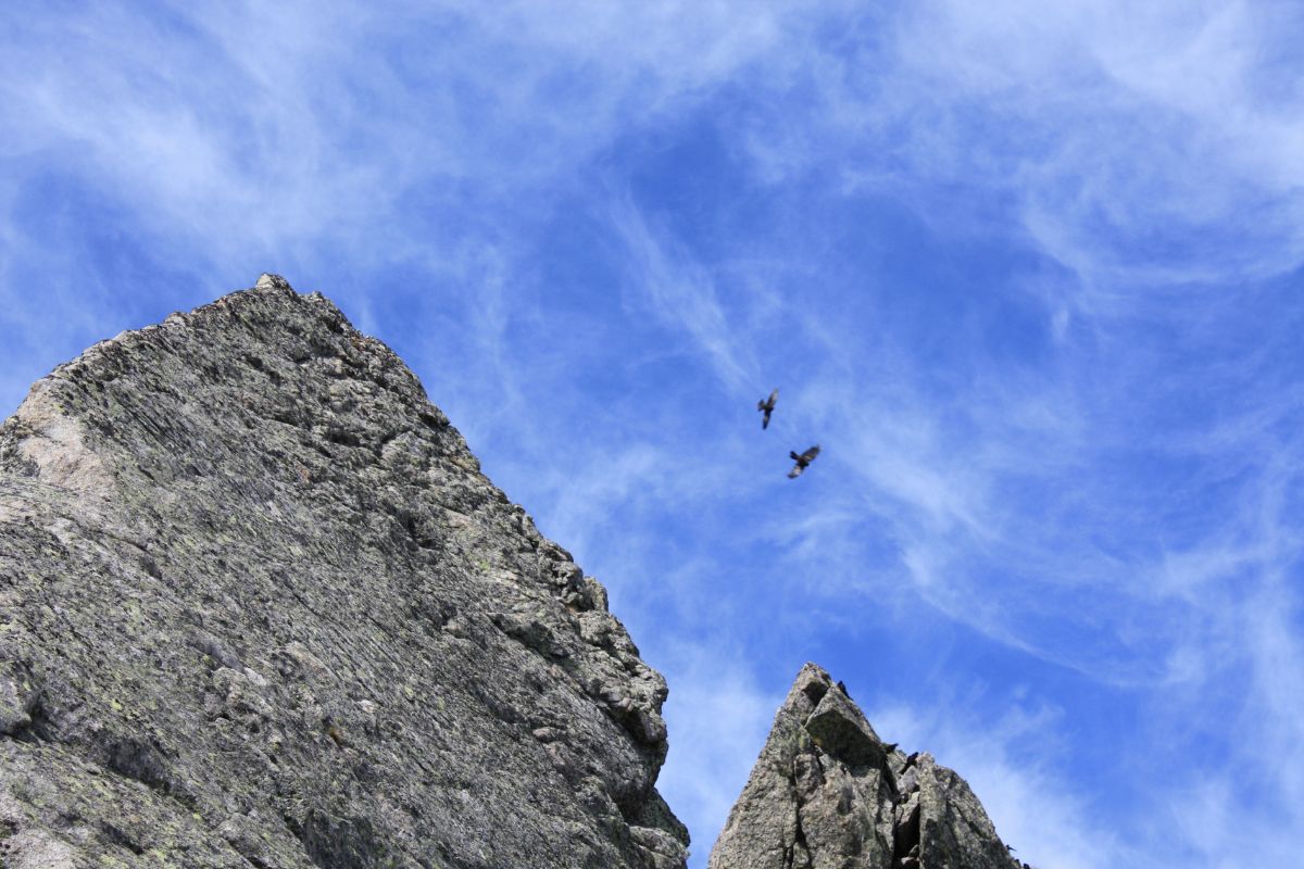 Budget du GR20 : combien prévoir pour traverser la Corse sans mauvaise surprise