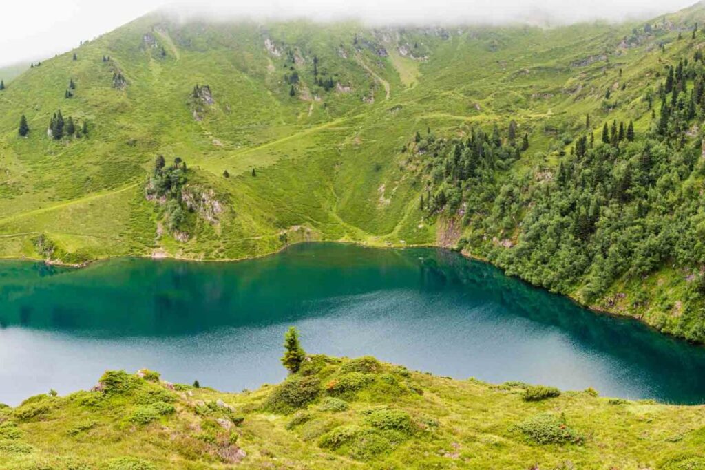 Prairies et relief boisé autour de Bareilles, dans les Hautes-Pyrénées