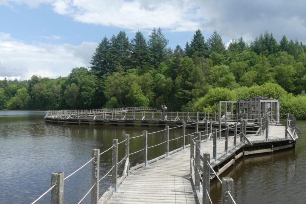 Rive calme du lac des Settons avec végétation aquatique, zone d’observation des oiseaux d’eau