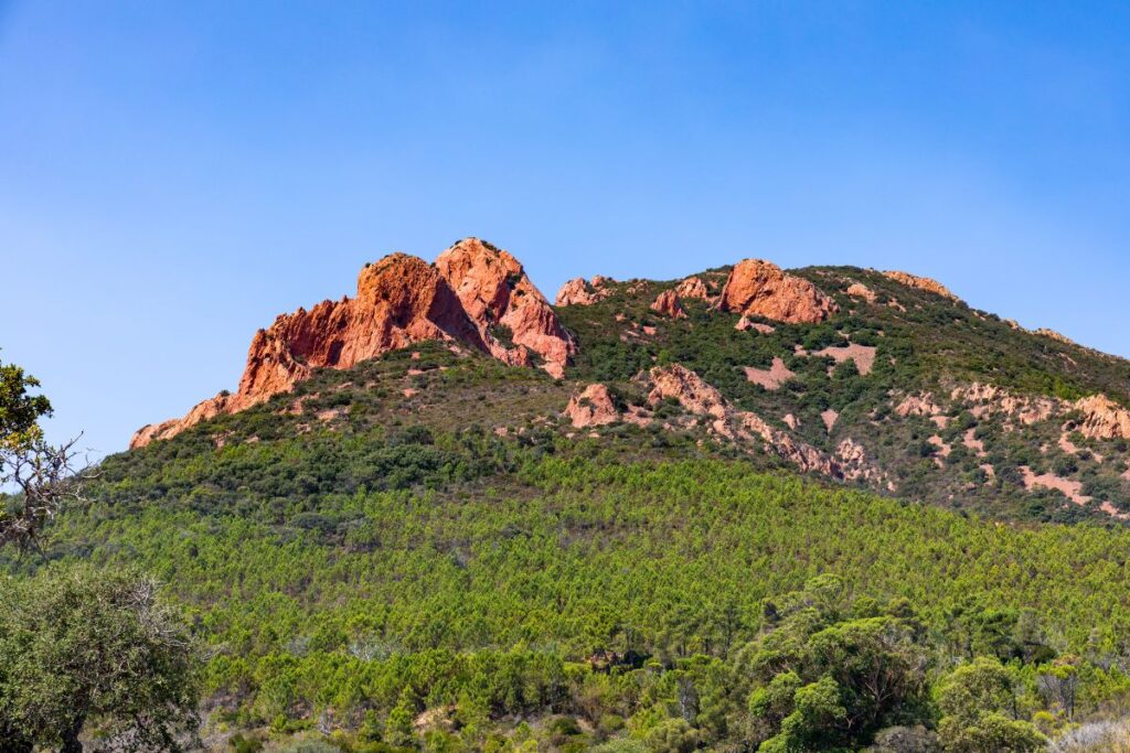 Maquis méditerranéen, chênes-lièges et pins sur les pentes du massif de l’Estérel