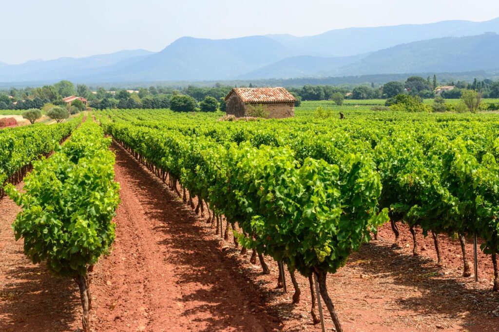 Sentier de randonnée dans la garrigue varoise avec vue sur les collines provençales