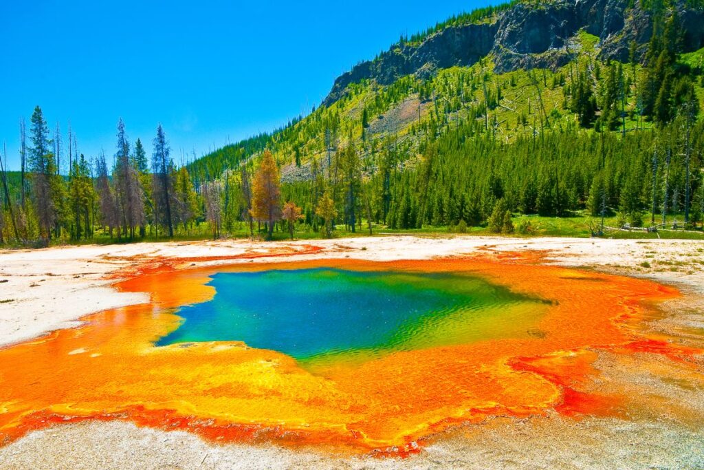 Source chaude aux couleurs vives dans le parc national de Yellowstone, Wyoming