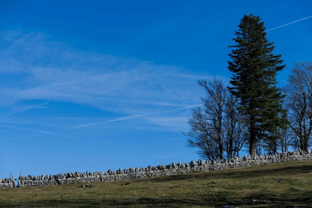 Pause pique-nique d’un randonneur au bord d’un sentier dans les pâturages du Jura