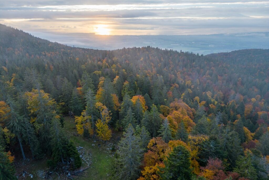 Vue depuis les crêtes du Haut-Jura sur le bassin lémanique et les Alpes en arrière-plan