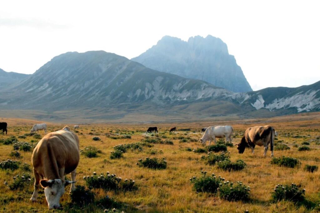 Sentier de randonnée rocailleux vers les crêtes du Gran Sasso au-dessus de Campo Imperatore