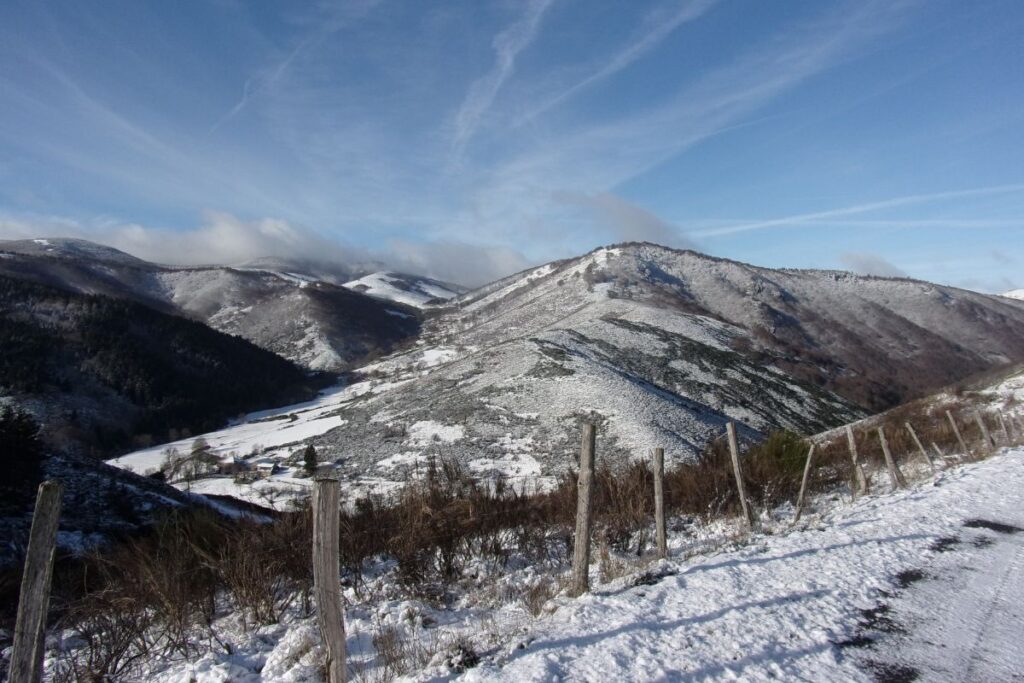 Sentier de grande randonnée traversant des landes et des pinèdes dans le Parc national des Cévennes