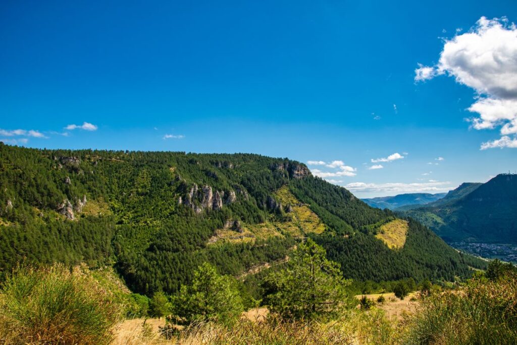 Vallée cévenole et ses versants boisés dans le Parc national des Cévennes