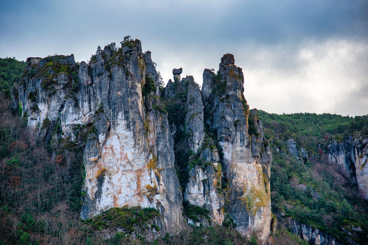 Randonner dans le Parc national des Cévennes : GR70, Mont Lozère et Aigoual