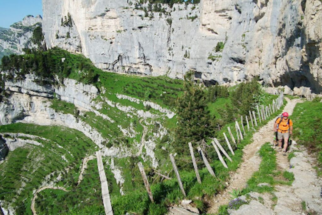 Sentier de randonnée montant dans la forêt et les rochers vers l’Aulp du Seuil en Chartreuse