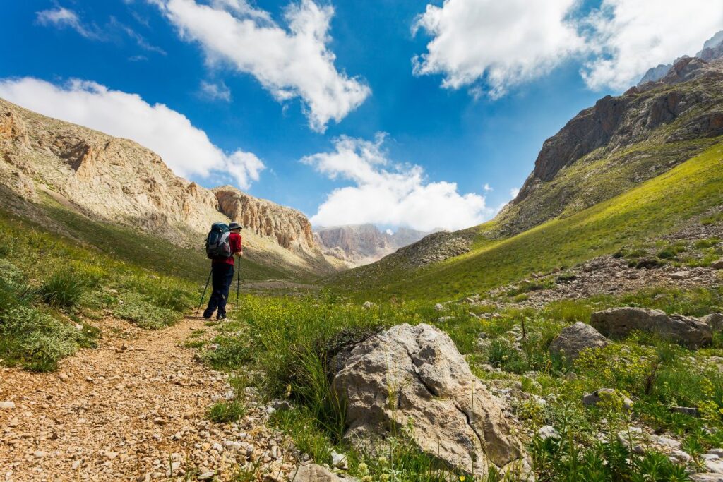 Chemin de randonnée à travers la campagne, évoquant les chemins de Saint-Jacques-de-Compostelle